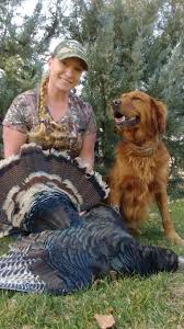 Lish Kennels Golden Retrievers For Hunting And Home