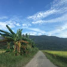 Skop bagi kajian ini akan melihat keperluan perlindungan ke atas tanah sawah padi di negeri kedah. Sawah Padi Kg Setar Gunung Jerai Yan Besar Kedah