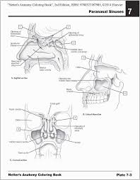 We did not find results for: Anatomy Coloring Pages More Like Doctor Marios Anatomy Coloring Book Page 18463 Albanysinsanity Com Anatomy Coloring Book Coloring Books Anatomy Coloring Pages