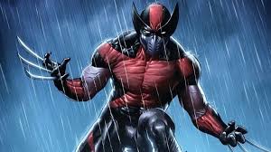 Image result for wolverine