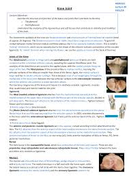 The exception is lateral rotation of the femur that proceeds flexion by unlocking the joint. Lecture 20 Knee Joint Anat331 Studocu