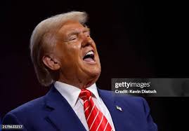 540 Kevin Cobb Photos & High Res Pictures