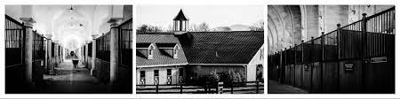 To dream that you are bathing a horse represents a renewal of strength and vigor. Stable Yard Design The Ultimate Guide To Creating A Dream Horse Barn