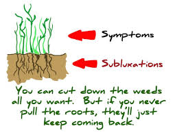 Getting To The Root Of The Issue Helps Heal A Persons Life Long Struggles If You Just Tap Into The Surfa Chiropractic Quotes Chiropractic Therapy Chiropractic