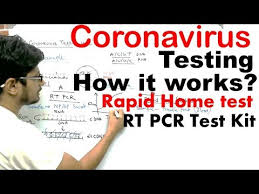 Corona Test Kit Rapid Test Kit For Corona Latest Price Manufacturers Suppliers