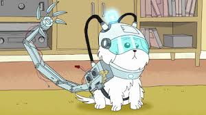 Rick helps jerry out with the dog. Rick And Morty Netflix