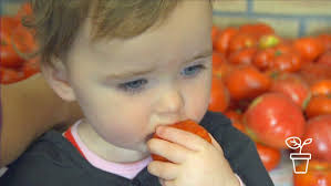 A Passion for Passata