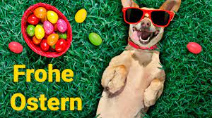Computer bild hat die besten ostersprüche für sie im nest! Whatsapp Grusse Zu Ostern Die Schonsten Bilder Zum Verschicken