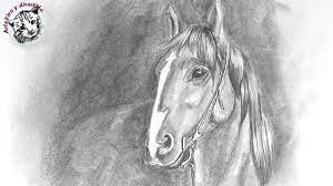 Como Dibujar Un Caballo A Lapiz Paso A Paso Youtube Yo creo que pintar caballos no es tarea fácil! como dibujar un caballo a lapiz paso a paso