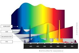 Led Light Spectrum Fakesartorialist Com