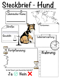 Steckbrief Hund Unterrichtsmaterial Im Fach Sachunterricht In 2020 Steckbrief Brief Unterrichtsmaterial