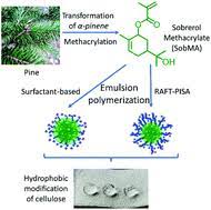 It's in all of us, every clone. what is it? organic chips built into our genetic code to make us do whatever someone wants, even kill the jedi. Modification Of Cellulose Through Physisorption Of Cationic Bio Based Nanolatexes Comparing Emulsion Polymerization And Raft Mediated Polymerization Induced Self Assembly Green Chemistry Rsc Publishing