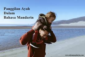 Dalam bahasa sunda, panggilan untuk laki2 yang lebih tua adalah aa/a, kakak, kakang/akang/kang. 6 Panggilan Ayah Dalam Bahasa Mandarin