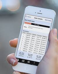 The tally app is an automated debt manager tool. Pay Off Debt App Create Your Own Debt Payoff Plan