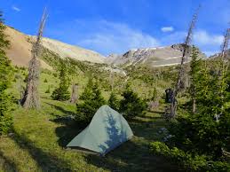 The trees are getting greener and spring is in the air. Turkey Creek Trail 580 Pagosa Springs Area Hiking Trails