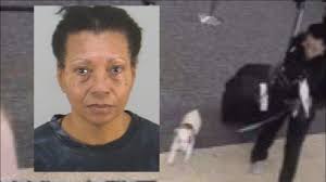 Disturbing details emerge after drowned dog found in Orlando airport  bathroom