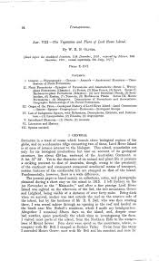 Image result for Kyllinga robinsoniana