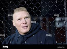 Brock hi-res stock photography and images