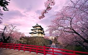 A collection of the top 43 bunga wallpapers and backgrounds available for download for free. Cherry Blossoms Iii Sakura Zen Japanese Spring Japan Flowers Nature Hd Wallpaper Peakpx
