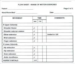 Nursing Assignment Sheet Templates Kozen Jasonkellyphoto Co