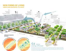 Ananas New Community Sasaki Ecology Design New Community Sustainability