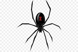 Southern Black Widow Redback Spider Drawing Clip Art Black Widow Spider Png Clipart Png Is About Is About Black Widow Spid Spider Drawing Redback Spider Png
