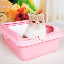 Enclosed Large Closed Cat Litter Box Health Supplie Plastic Cat Toilet Litter Bed Pan Sand Basin Pets House Trays Dog Ddm2aa3 Pretty Cats Cat Cuddle Cat Toilet
