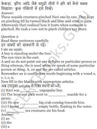 Bully english 2 all answers. Pdf Ncert Solutions For Class 5 English Unit 8 Chapter 2 The Little Bully