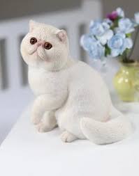 Buying an exotic shorthair is an exciting time. China Exotic Shorthair 1 6 Scale Animals For Home Decor China Home Decor And Cat Statue Price