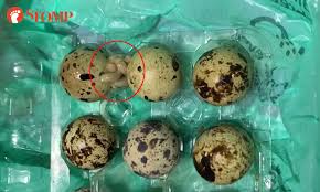At sheng siong supermarket during the circuit breaker, longer queues and quickly emptied shelves were part and parcel for. Sheng Siong Apologises To Woman Who Found Maggots In Carton Of Quail Eggs Singapore News Asiaone