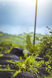 10 Blur Nature Background Hd Png With the help of new cb background 2021, we can edit our photos in a much better way if you are also looking for the background for your photo editing, then today you have brought more than 1000 cb editing background full hd for all of you, which you can be downloaded in a click. 10 blur nature background hd png