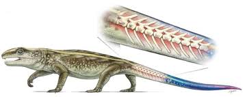 Gambar haiwan memutuskan anggota badan. Peneliti Temukan Reptil Pertama Yang Putuskan Ekor Untuk Larikan Diri Badan Litbang