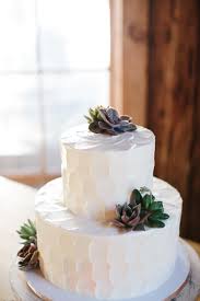 Natural Wedding Cake Textured White Buttercream Succulents Paige Winn Photo Textured Wedding Cakes Themed Wedding Cakes Cake