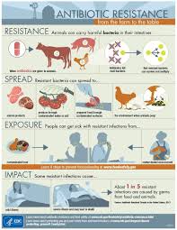 Antimicrobial Resistance Human Grade Dog Food Antimicrobial Resistance Antibiotic