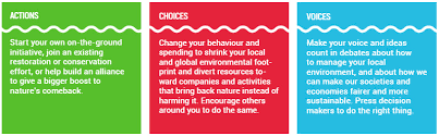 Whether you're 5, 80 or a teen, anybody can go green! World Environment Day Geneva Environment Network