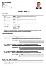 Europass also matches user skills and interests such as location and topic to success suitable jobs. Modelli Curriculum Vitae Openoffice