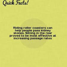 Quick Fact Riding Roller Coasters Can Help People Pass Kidney Stones Sitting Facts Helping People Roller Coaster