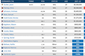 We only needed a single expansion draft in the salary cap era to learn that whipping up a mock draft is a fool's with that in mind, here's what the seattle kraken could but definitely won't look like after. Nick Patterson S Seattle Kraken Mock Expansion Draft 2 0 Heraldnet Com