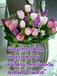 ดอกไม ดอกก หลาบสวยๆ ส ม วง