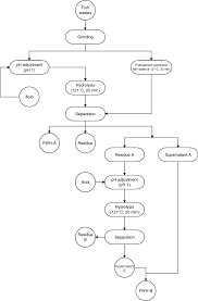 Chemical modification of proteins is a rapidly expanding area in chemical biology. Protein Hydrolysis An Overview Sciencedirect Topics