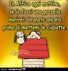 Benvenuti nel paese in cui le banche non ci danno tempo perché il tempo è denaro questo è il paese dove la gente non arriva a fine mese ma si preoccupa che la batteria dell'iphone arrivi a fine. In Africa Ogni Mattina Se Io Fossi Una Gazzella Morirei Sbranato Ancora Prima Di Condiviso Da Cavaonde Facciabuco Com