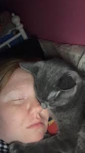 Thinking of Robert Larkin sending his family our prayers.  https://www.facebook.com/share/p/17CHnkW6y7/?mibextid=wwXIfr