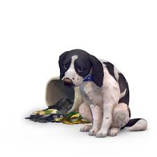 :) to play these games, you will need adobe flash player. New Trailer What Is Your Perfect Pet Page 3 The Sims Forums