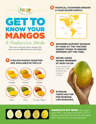 Ciaprochef Com Get To Know Your Mango