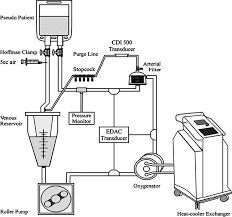 The Cpb Circuit Set Up With Pediatric Pseudo Patient Download Scientific Diagram