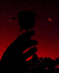 Cart reminders) from allposters at the cell number used when signing up. Tumblr Red Aesthetic Red Aesthetic Grunge Red Pictures