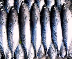 Ikan tongkol dot com updated their cover photo. Fish Fishing Seafood Free Photo On Pixabay