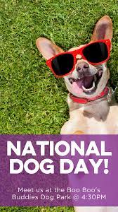 After that, the labrador retriever leads the pack for most popular breed in 2021; National Dog Day Fusion Academy