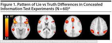 The study centers around concealed information tests. Researchers Say Fmri Scans Now Better Than A Polygraph In Lie Detection Daily Mail Online