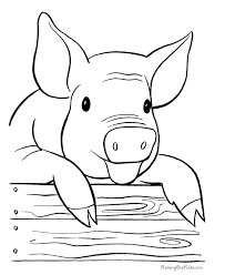 This cute animal has a pink color with a lot of meat. Farm Pig Coloring Page